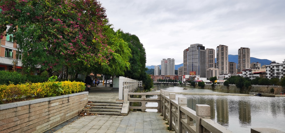 溪滨漫步永春县五里街镇与石鼓镇的湿地公园冬日里花草依旧芬芳特别是