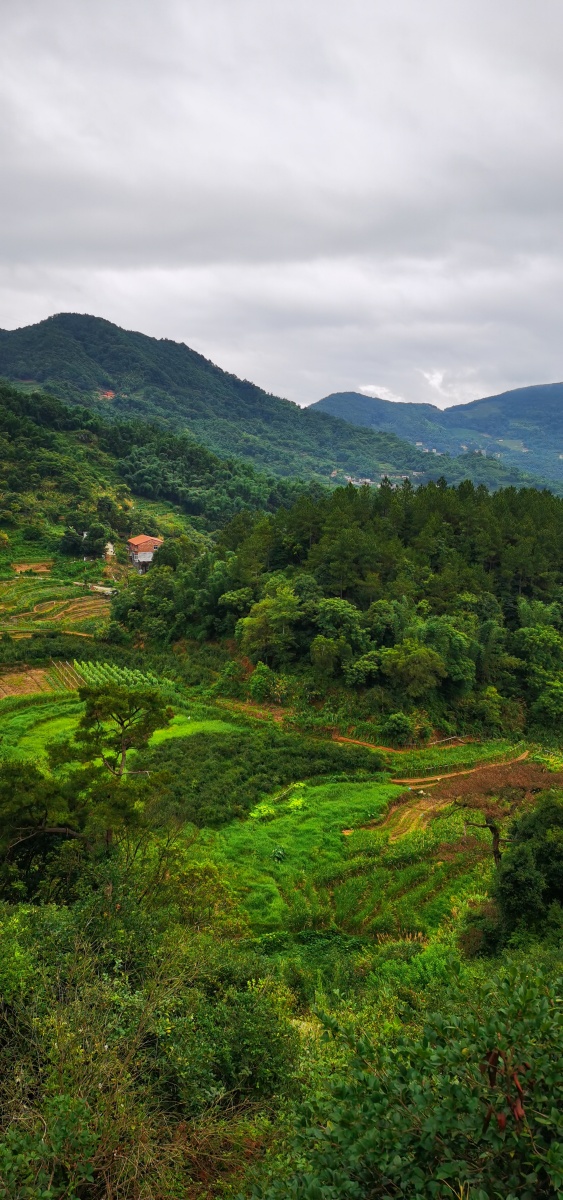 夏季山乡阴天早晨独自走走
