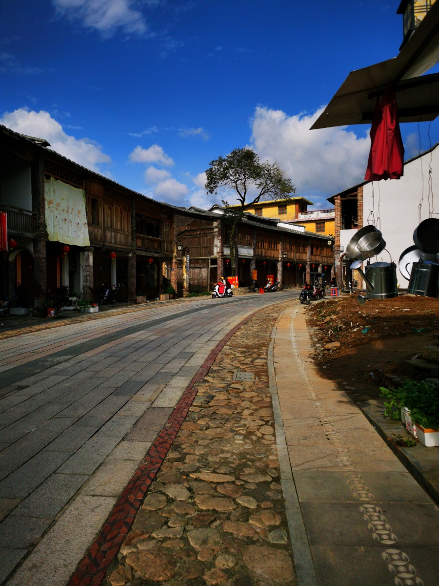 老街新象永春县五里街镇老街改造成商业步行旅游区那棵留下来的老树