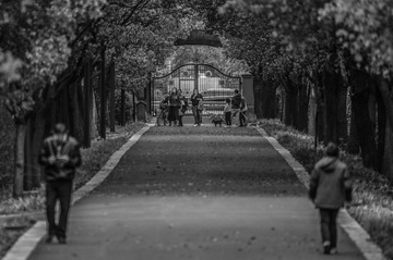 ZXX_0650
