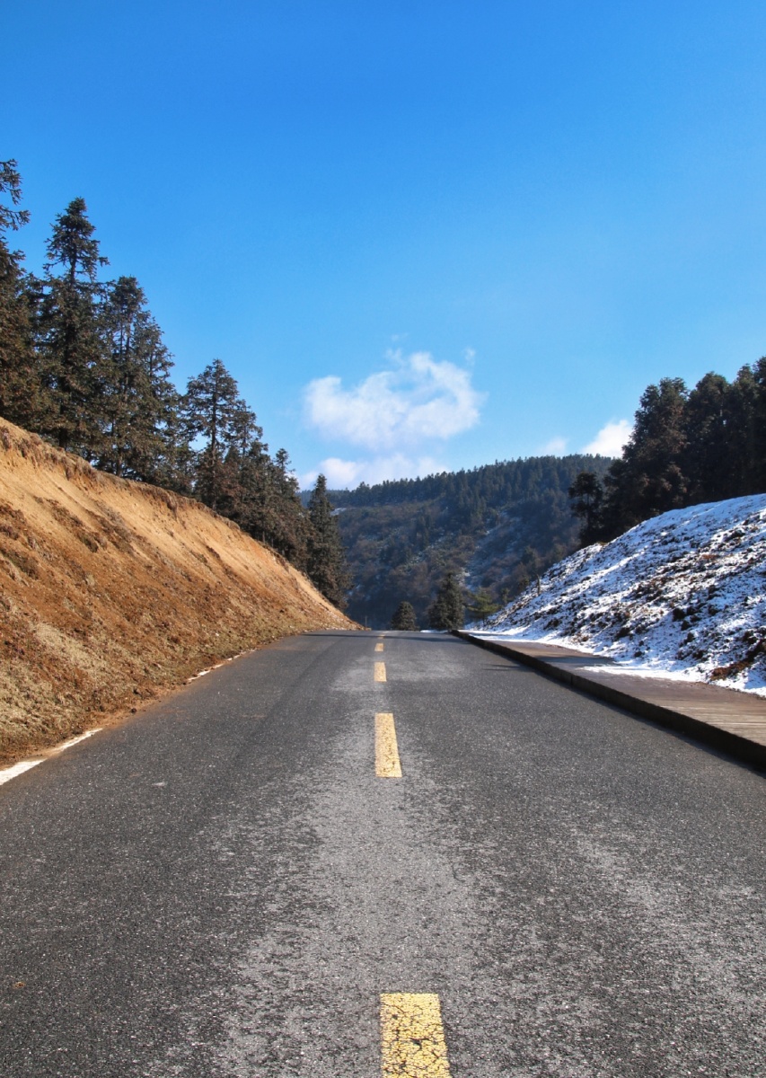 仙女山最美公路