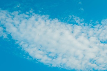 1331828