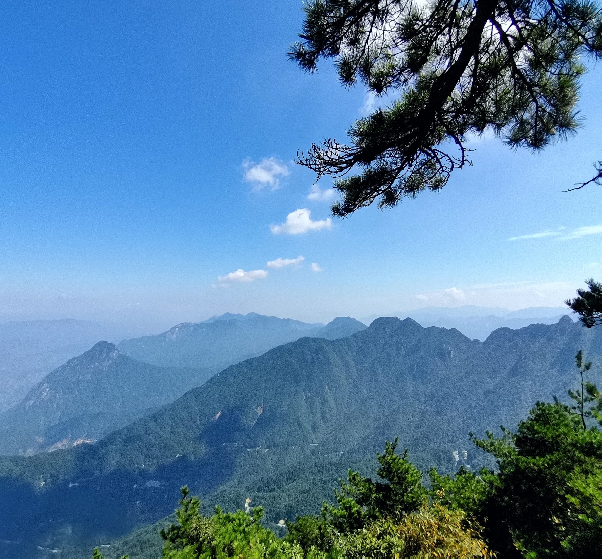 青山翠柏绘皖南