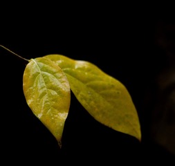 1120127