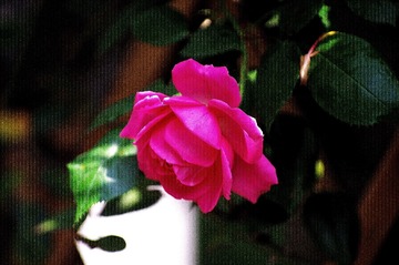 1360568