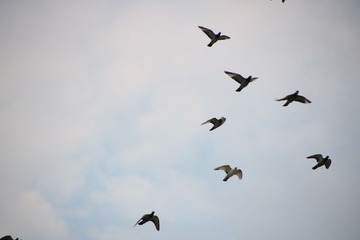 20161003161653_IMG_5287