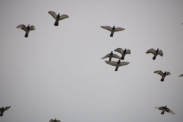 20161003161826_IMG_5305