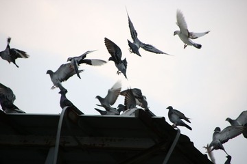 20161003161942_IMG_5319