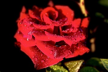43041184-E81F-4A0D-9C50-C4C9A14D76FE/L0/001