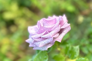 5BC7A51A-7872-4F11-ABE0-9C918E28CCBD/L0/001