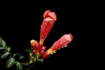 F5874EF6-CAA1-4F01-81F5-8D3C33084BE9/L0/001