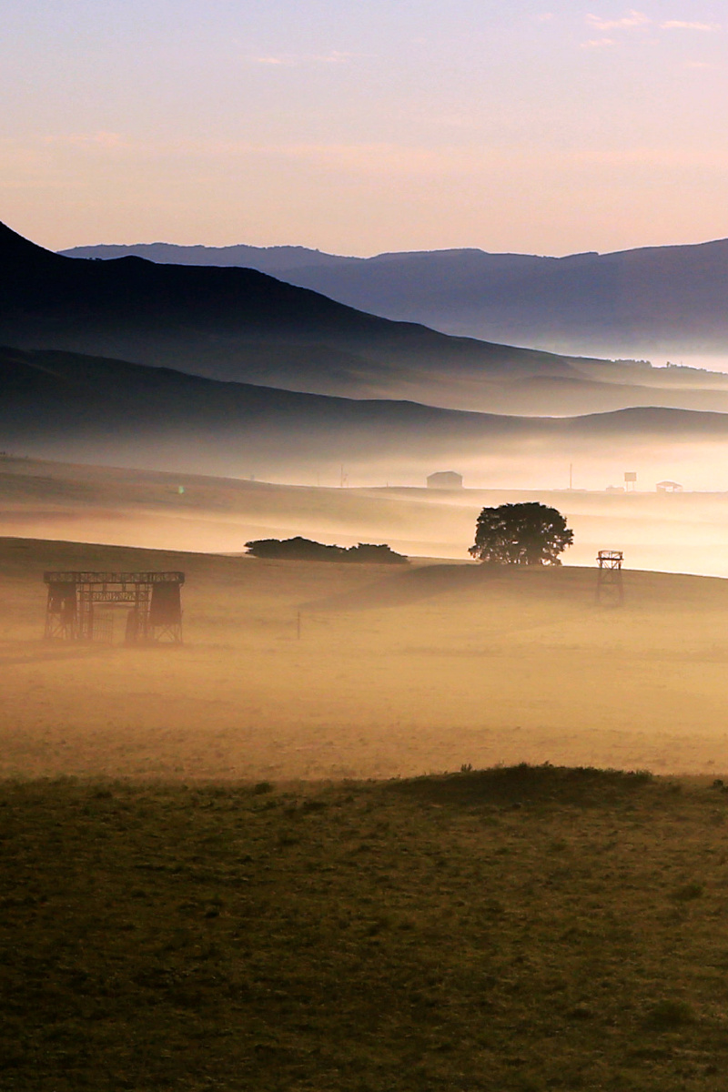 的迷人光影晨雾清晨草原薄雾色彩1/153玖月7092020年11月17日1476关注