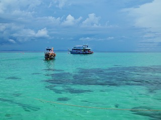 P5090857