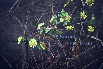 Forgotten