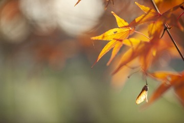100880