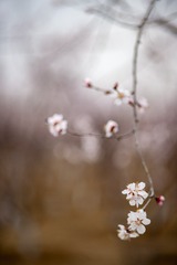 5678931