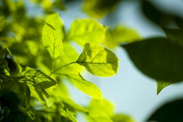 100810