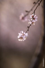 3023478