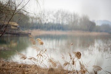 5607125