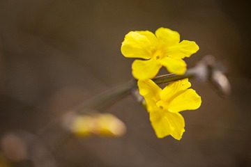 5607074