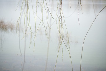 5607123