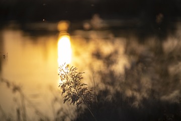 115166