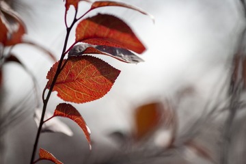 101065