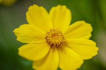 11087