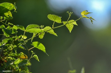 2765457