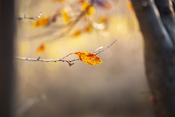 5055057