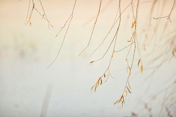 5203056