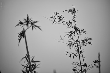 5126472