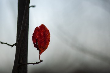 5085131