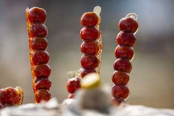 3024147