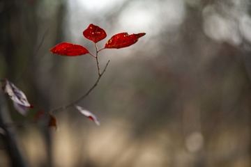 5085144