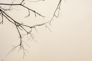 5727040