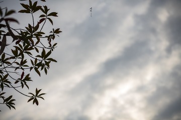 131512
