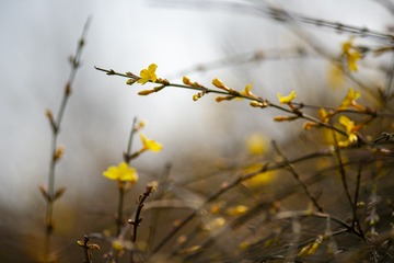 5607075