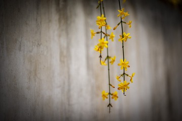 5740330