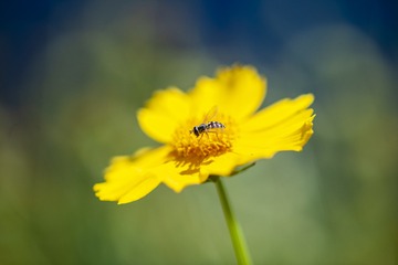 11105