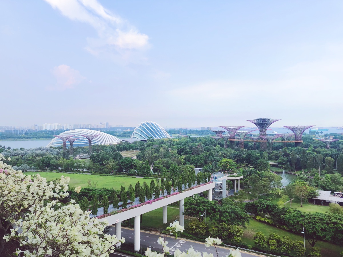 新加坡滨海湾花园远看貌似更美