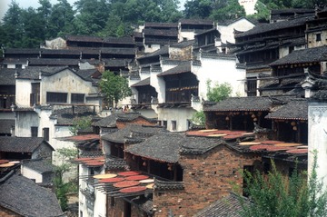 IMG37 (2)