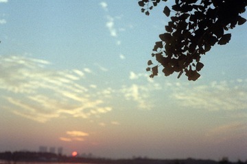 Scan-161120-0029