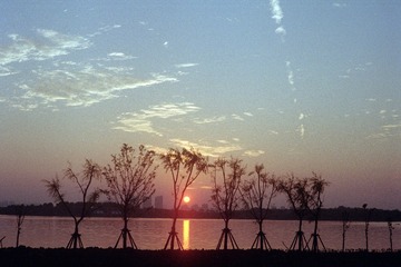 Scan-161120-0030