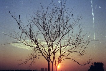 Scan-161120-0031