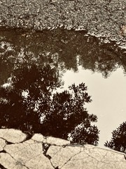 19B31FE7-C000-4D03-871B-6B0426C657FB/L0/001