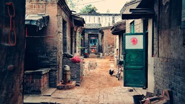 SAM_4956-01