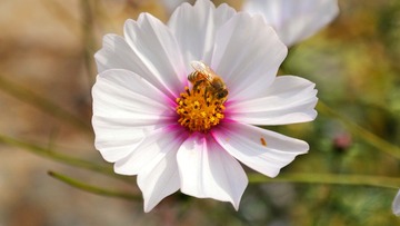 SAM_5372-01