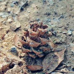 SAM_5366-01