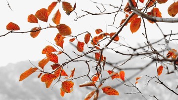 PicsArt_10-16-10.44.57